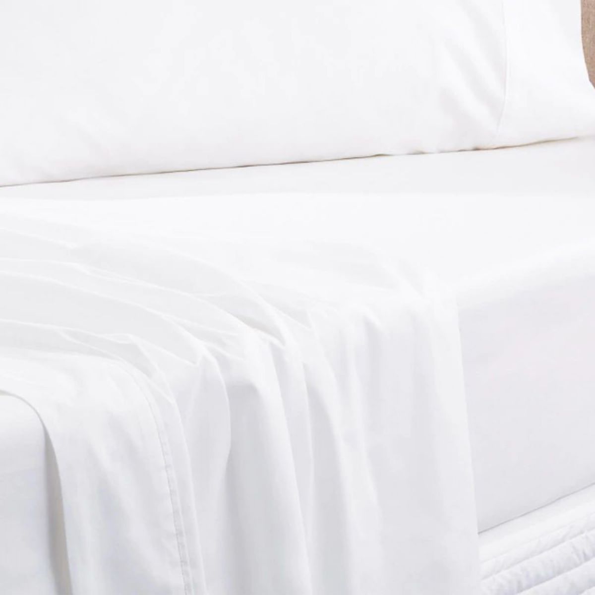 Sheridan queen new arrivals fitted sheet