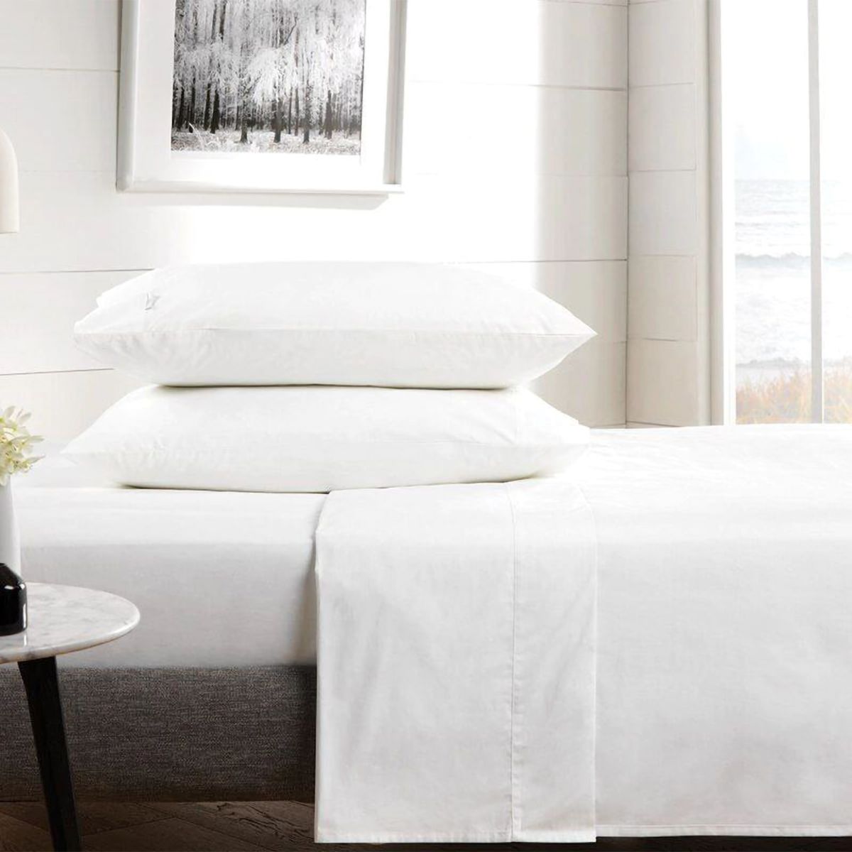 Sheridan 300Tc Classic Percale Fitted 